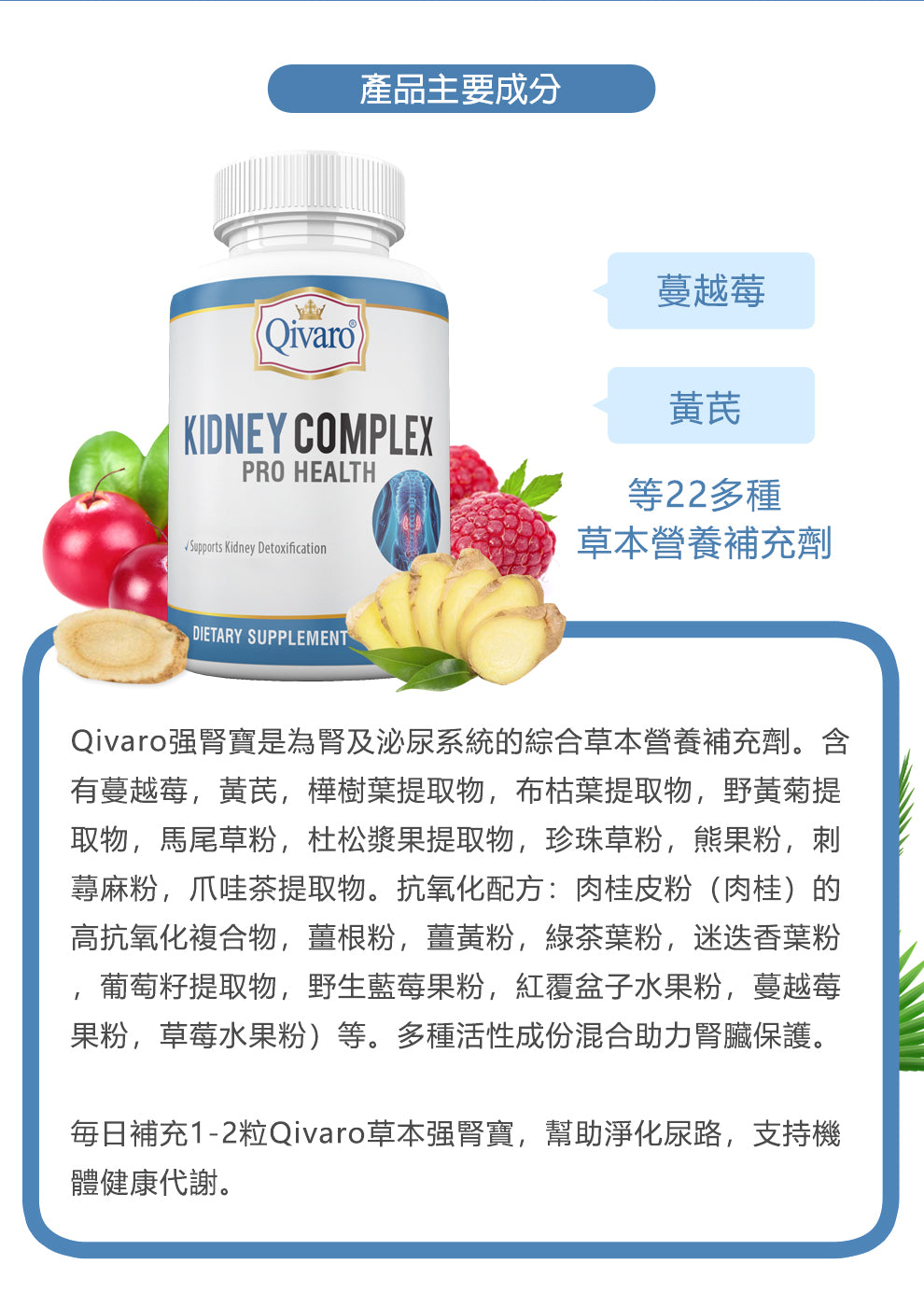 QIH16 - Kidney Complex