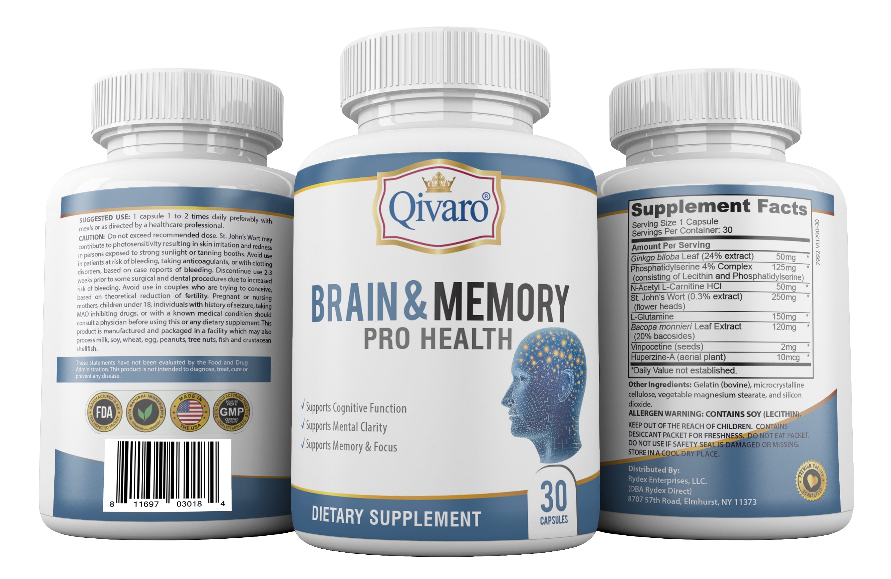 QIH11 - Brain & Memory