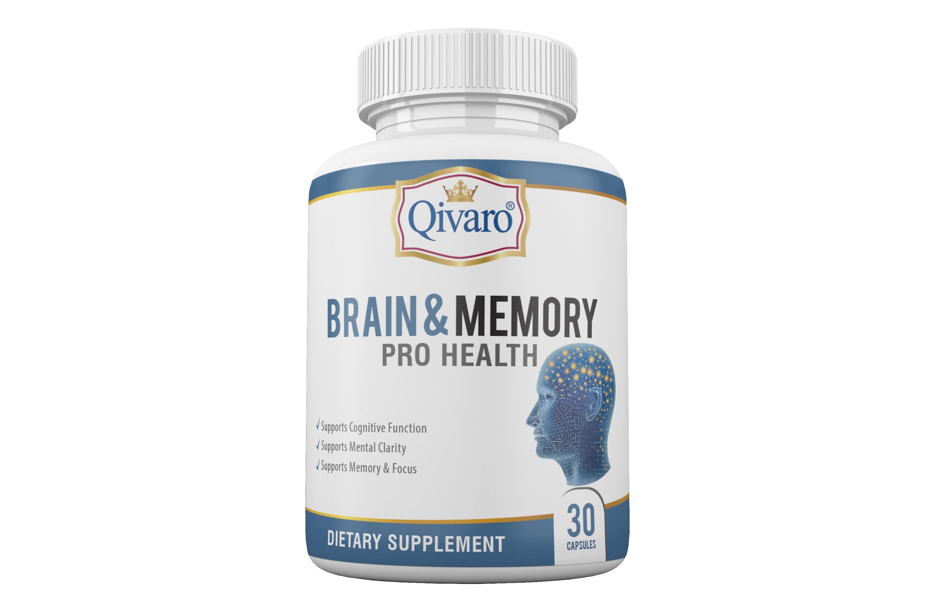 QIH11 - Brain & Memory